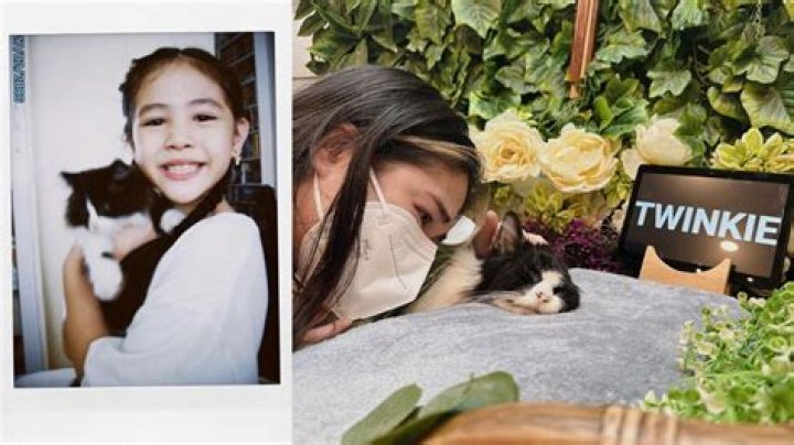 Celebrities named Twinkie