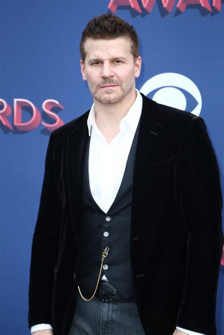 David Boreanaz Net Worth - Wiki, Age, Weight and Height, Relationships, Family, and More