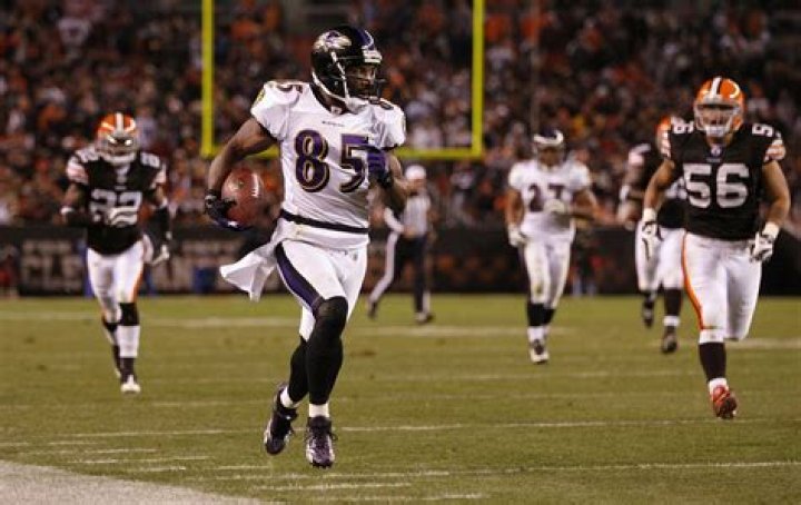 Derrick Mason Net Worth - Wiki, Age, Weight and Height, Relationships, Family, and More