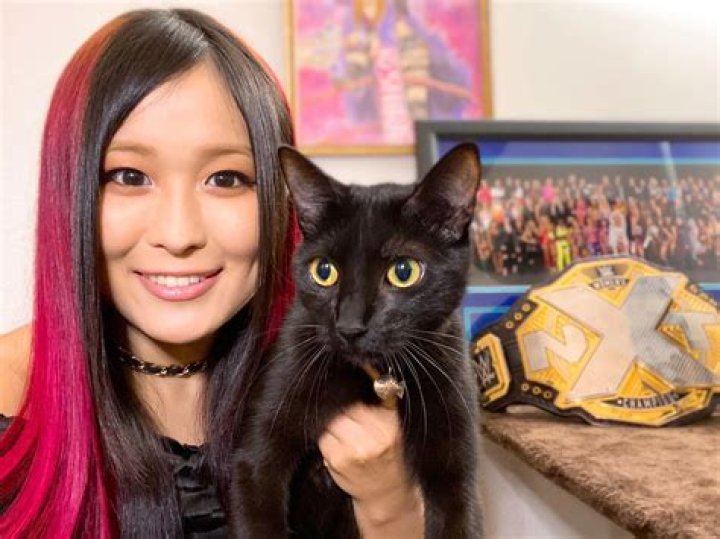 Iyo Sky Pets - Celebrity Pets