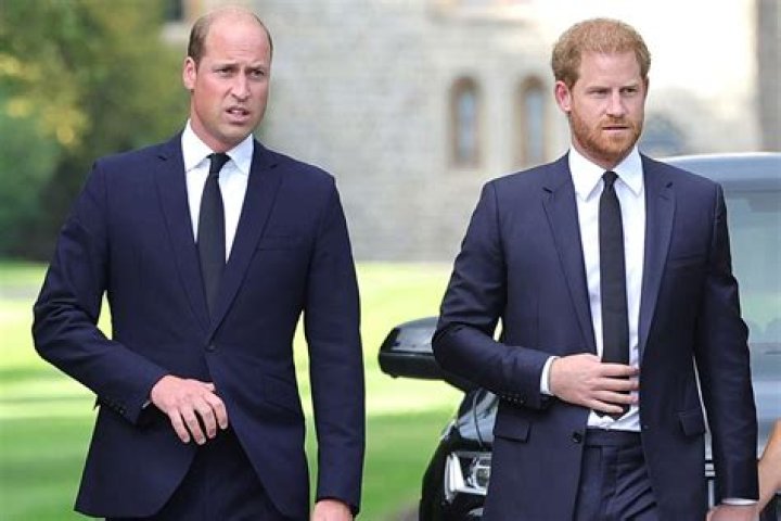 Prince Harry and William 'begged to stop fighting to avoid King Charles' misery'