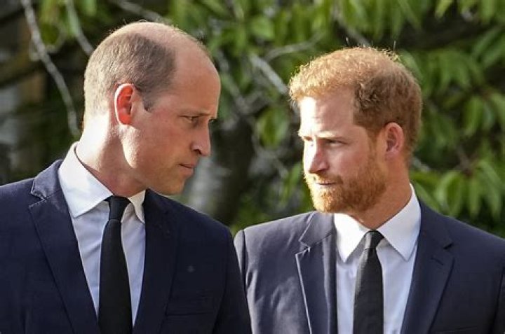 Why *did* the monarchy choose Prince William’s press secretary over Prince Harry?
